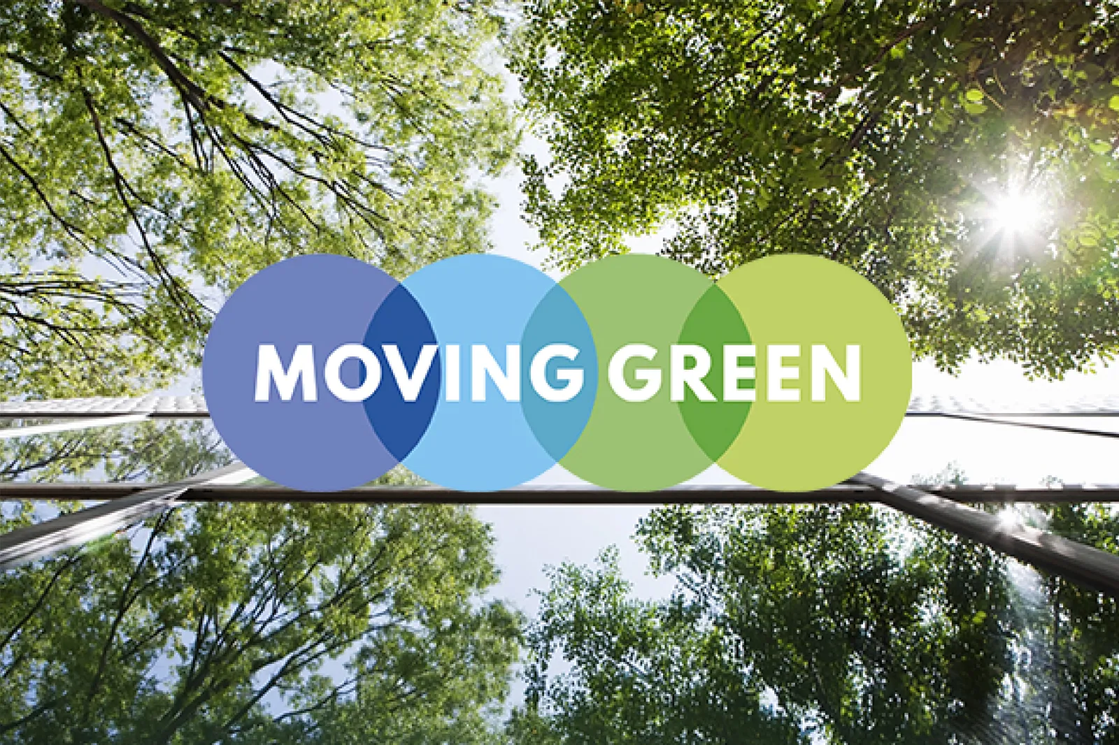 Moving Green